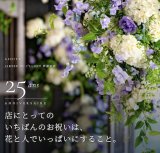 アイロニー25周年記念イベント(11/3-4)に芦屋店で開催します！