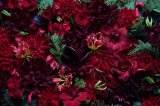 クリスマスリース＆アレンジの予約販売開始