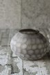 画像2: GUAXS BANGUI S (2)