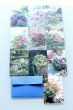 画像1: アイロニー パリ店 オリジナルポストカード 10枚 × 3セット【Bleu】【Blanc】【Rouge】 (1)