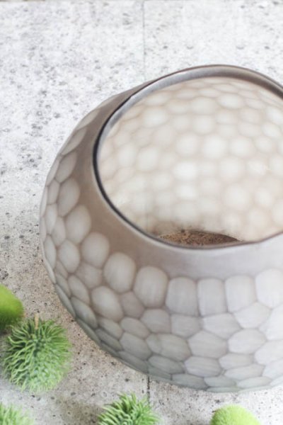 画像3: GUAXS  BANGUI M  clear/smokegrey (3)