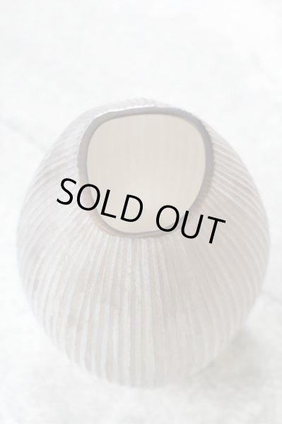 画像3: GUAXS NAGAA M / smokegrey (3)