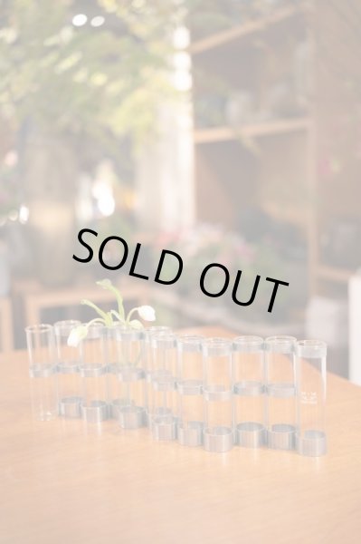 画像3: Vase d'Avril - XXL (四月の花器 XXL) (3)