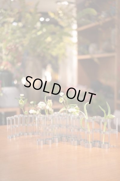 画像4: Vase d'Avril - XXL (四月の花器 XXL) (4)