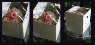 画像1: 【オンラインレッスン】四月の花器(classique)レッスン花材