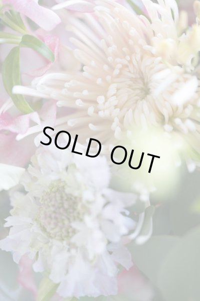 画像4: アイロニーフローリストお任せ『新年を迎えるブーケ M』 (4)