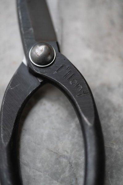 画像8: 國重さんハサミ5.5寸〜6.5寸 (8)