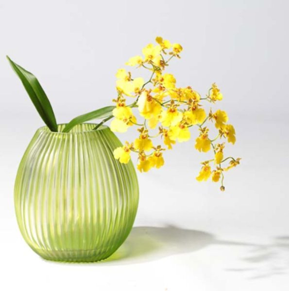 画像2: GUAXS NAGAA M / clear/lightgreen (2)