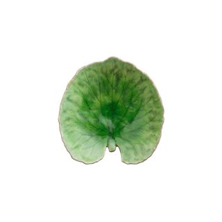 Christian Tortu ＜goutte＞ - jardin du I'llony online store