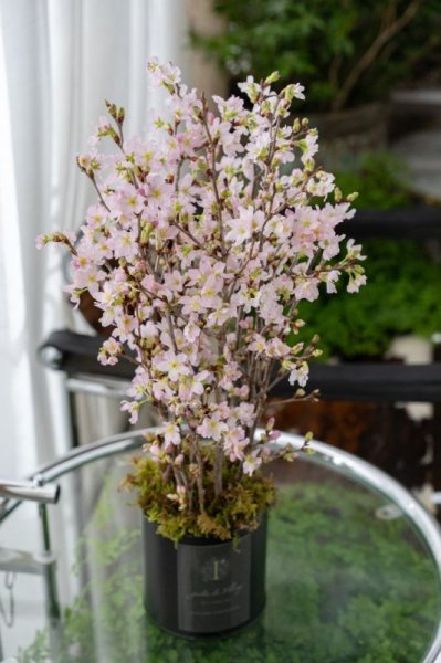 画像2:  桜のシランドルアレンジメント (2)