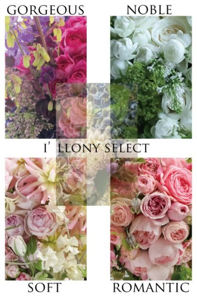 画像1: 【アイロニーセレクト花材】　※こちらの商品は完成品でなく、花材のみの発送となります。ご注意ください。 (1)