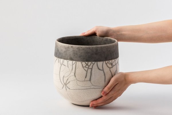 画像3: アジアンタム・フレグランス5寸(DOMANIセット) (3)