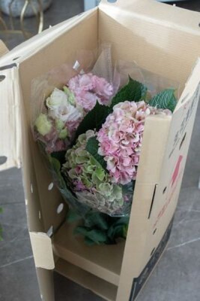 画像6: 【市場直送便】谷口セレクトの季節の素材 (6)