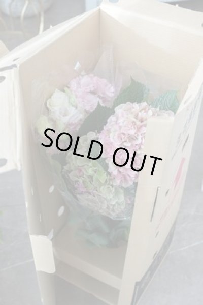 画像6: 【市場直送便】谷口セレクトの季節の素材 (6)