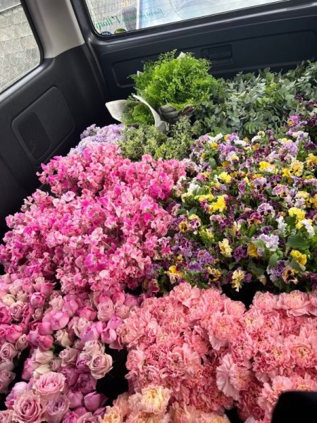 画像3: ジャパンツアー2026　お申し込みページ (3)