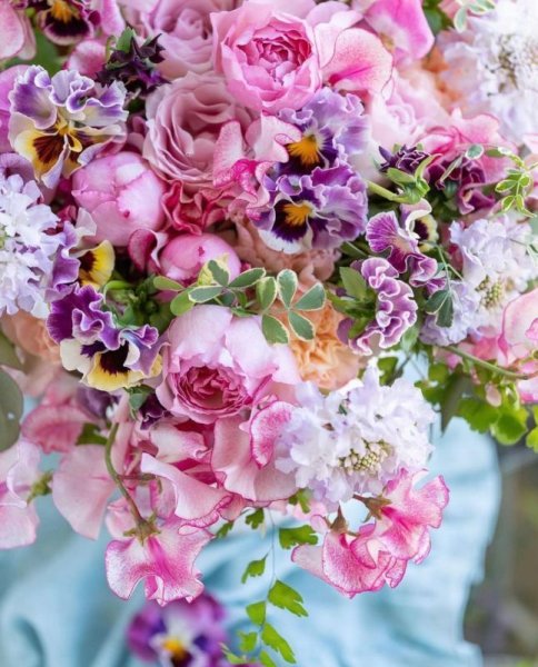 画像2: ジャパンツアー2026　お申し込みページ (2)