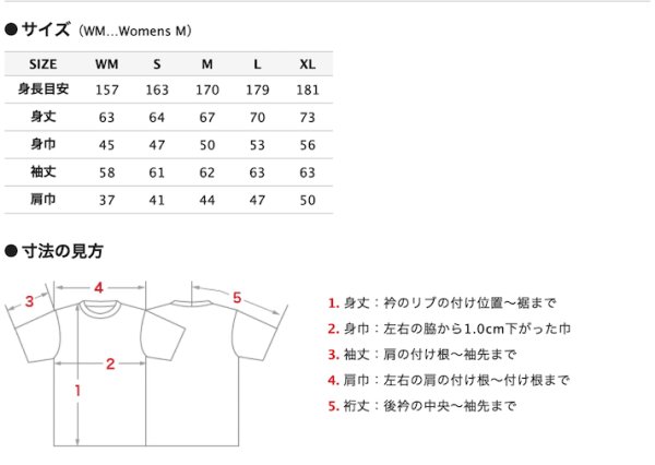 画像2: アイロニーオリジナルパーカー (2)
