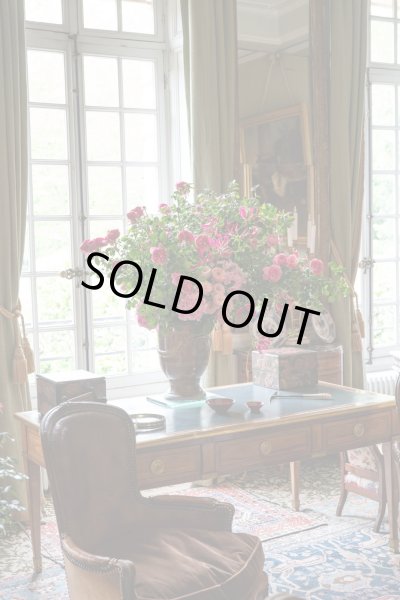 画像5: 【全１０回】フレンチフローリストディプロマコース (5)