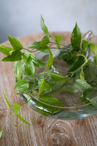 画像2: Christian Tortu ＜goutte＞  (2)