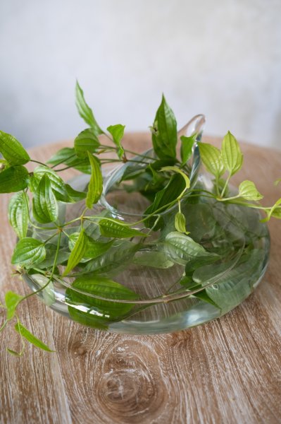 画像3: Christian Tortu ＜goutte＞  (3)