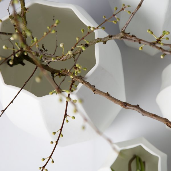 画像2: GUAXS KOONAM TALL / opal (2)