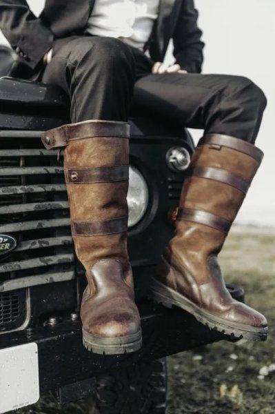 画像6: Dubarry Wexford Ivy (6)