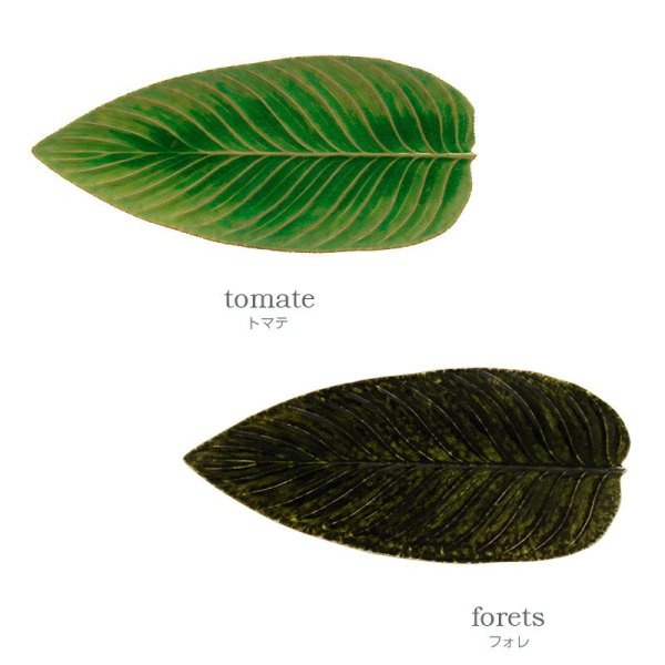 画像3: Christian Tortu ストレリチアリーフ トマテ (3)