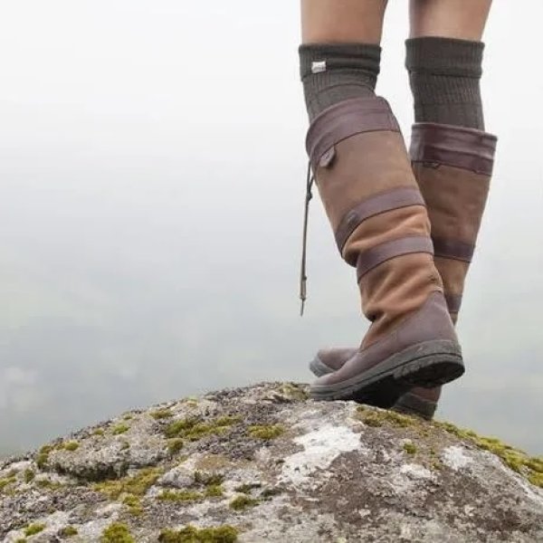 画像6: Dubarry Galway Walnut (6)