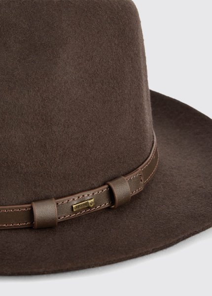 画像2: Dubarry Frontier Felt Hat Brown /フロンティア フェルトハット/ブラウン (2)