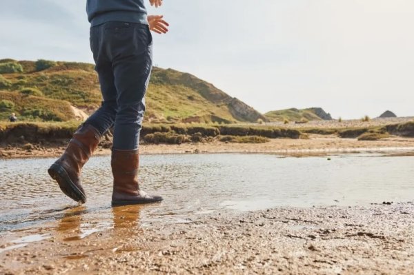 画像10: Dubarry Kildare Walnut (10)