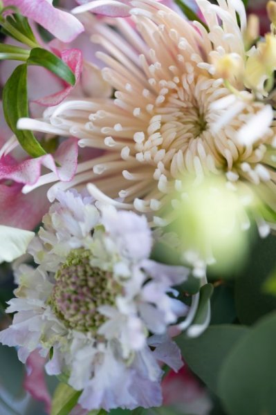 画像4: 対面レッスン【芦屋本店】お正月花レッスン (4)