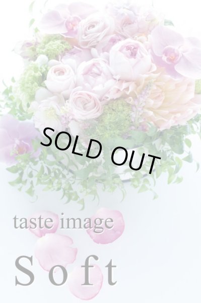画像7: 16,500円 母の日限定 Jardin du Lune 「月の箱庭」22cm【完成品orキット】 (7)