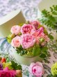 画像2: 8,800円 母の日限定 Jardin du Lune 「月の箱庭」16cm【完成品orキット】 (2)