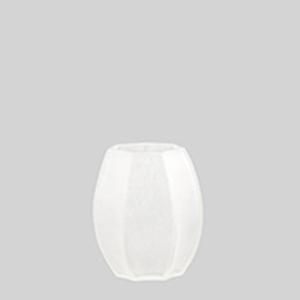画像1: GUAXS KOONAM S / clear (1)
