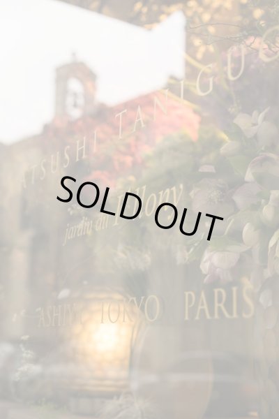 画像2: 7th Anniversary「パリであなたの花束を」写真集 (2)