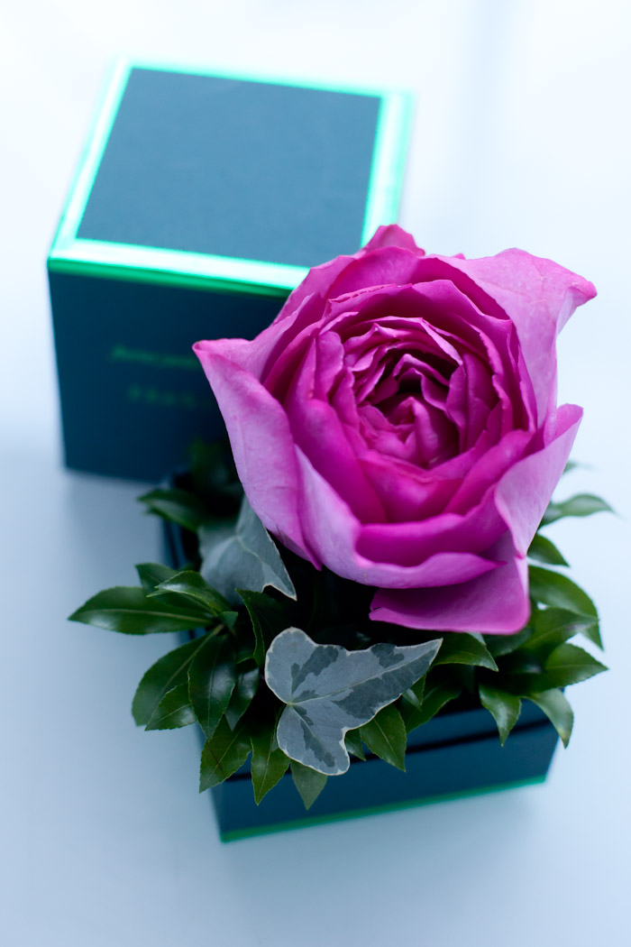 Fragrance Box Jardin Du I Llony Online Store