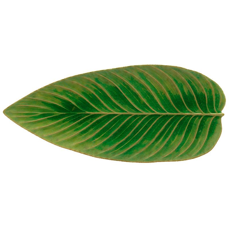 Christian Tortu ストレリチアリーフ トマテ